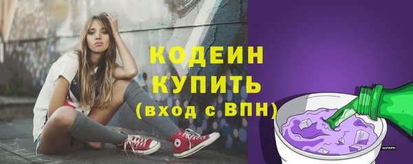 соль ск Кодинск