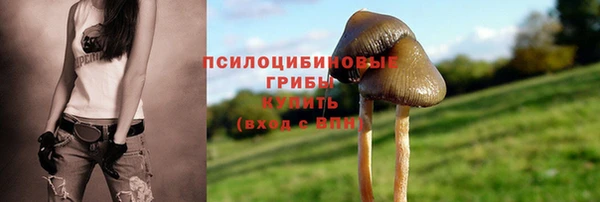 гидропоника Корсаков