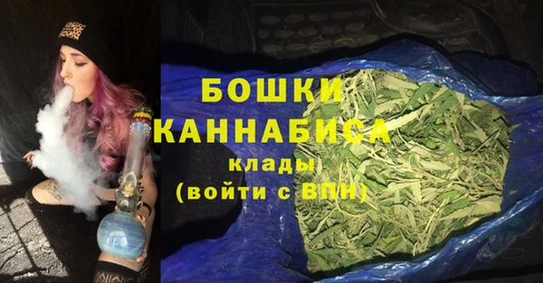 Альфа ПВП Костерёво