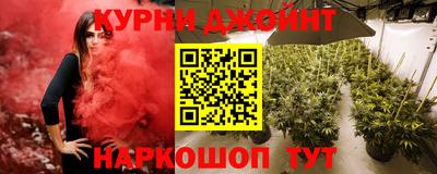 МДПВ Краснознаменск