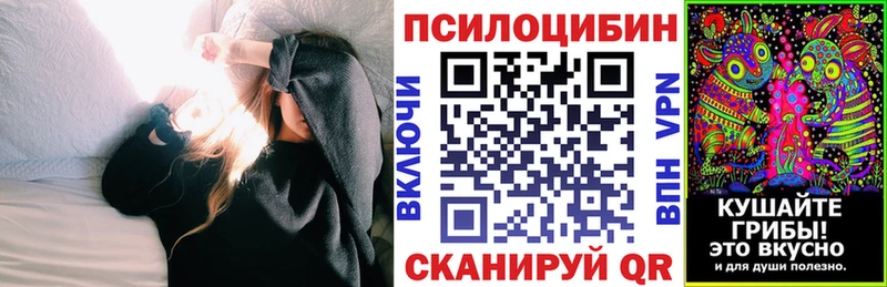 купить наркоту Кизилюрт Галлюциногенные грибы Psilocybine cubensis
